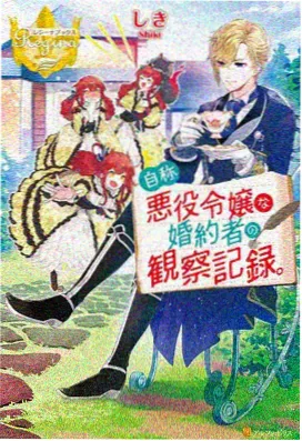 天龙影院动画纪实手作小史封面